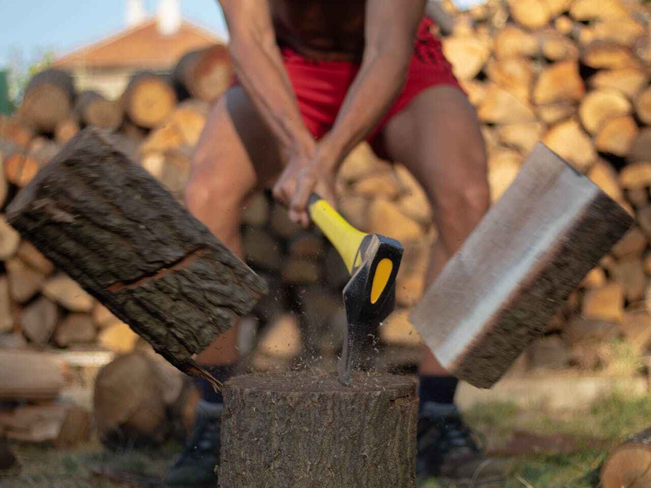 Emergency Storm Tree Removal in Pollock Pines, CA